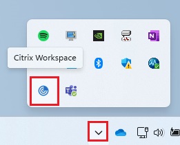 Ikon i Windows 11